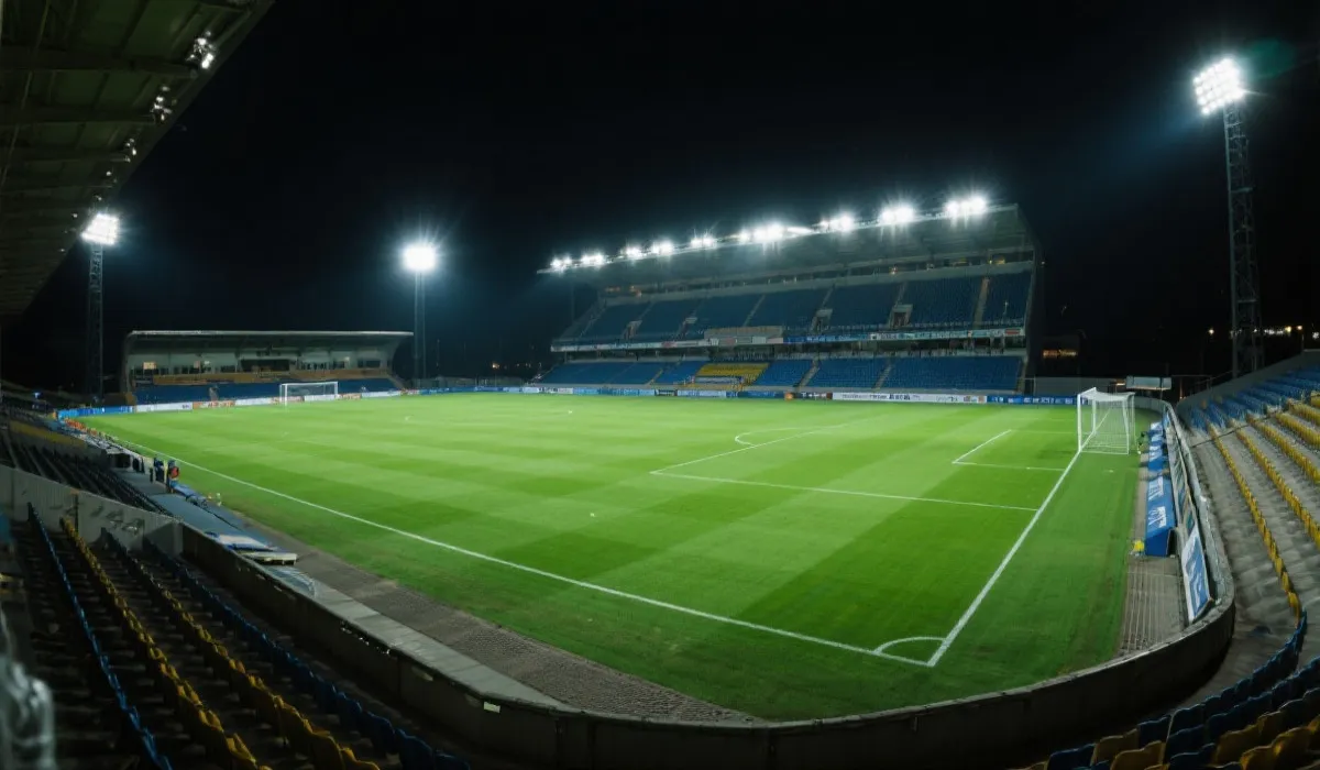 世界杯赛场氛围图